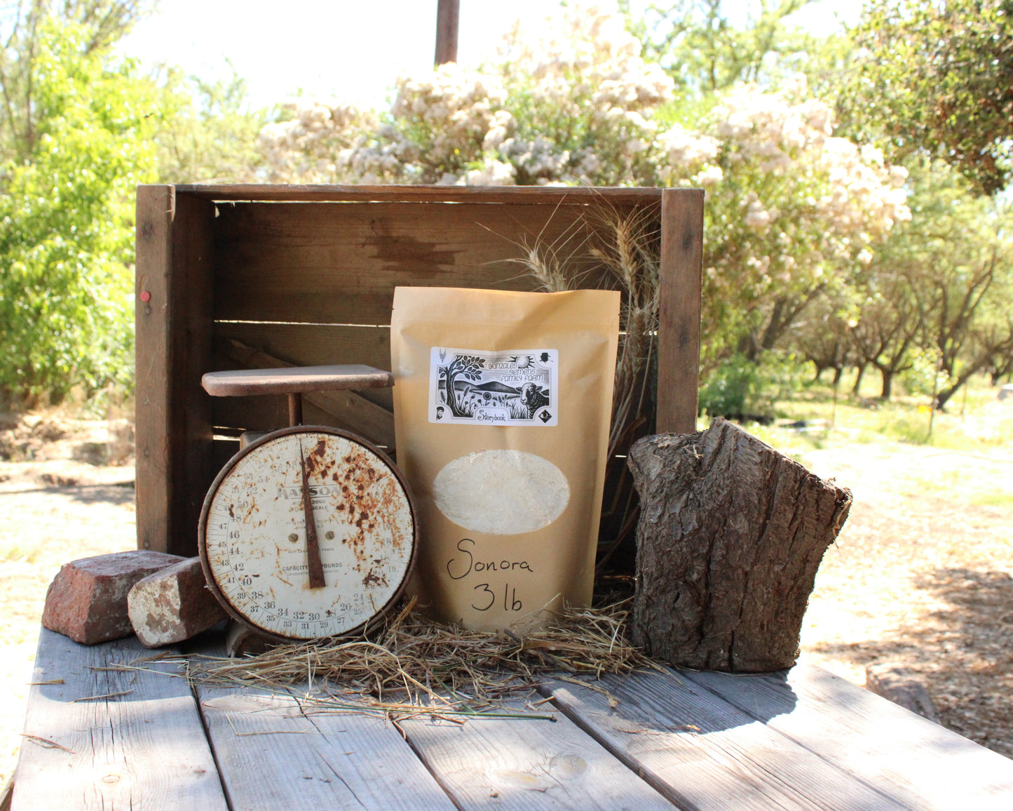 Organic Sonora Wheat Flour