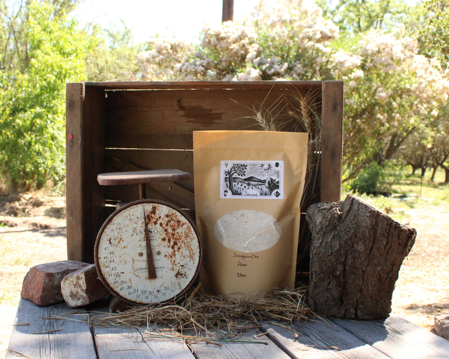 Joaquin Oro Wheat Flour