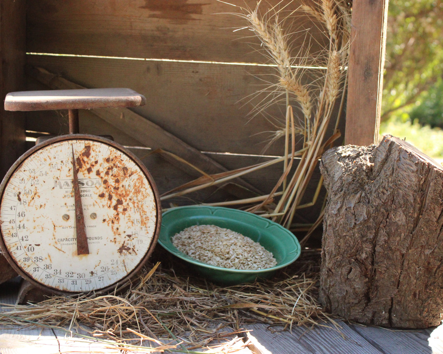 Rolled Naked Oats