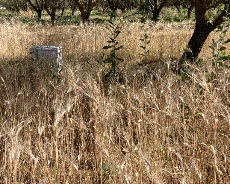 Farm to Table Dinner- Sat, Oct 10, 2026