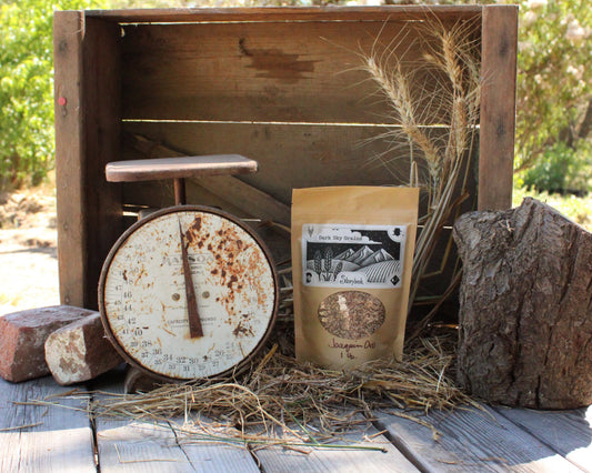 Joaquin Oro Wheat Grain
