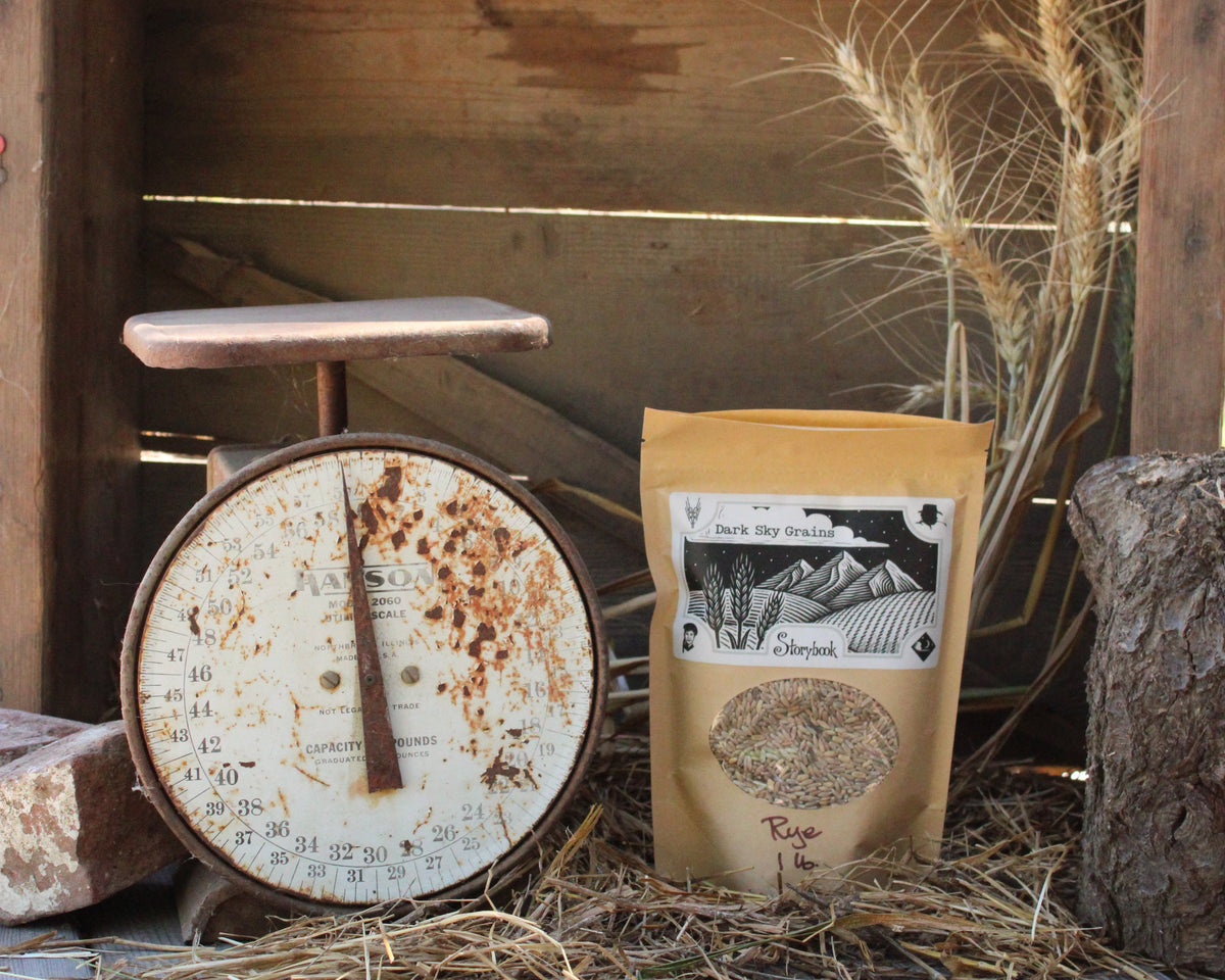 Organic Great Basin Landrace Rye