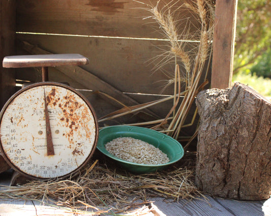 Rolled Naked Oats